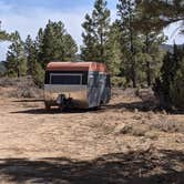 Review photo of Tom Best Spring Road FR117 Dispersed - Dixie National Forest by Greg L., April 11, 2021