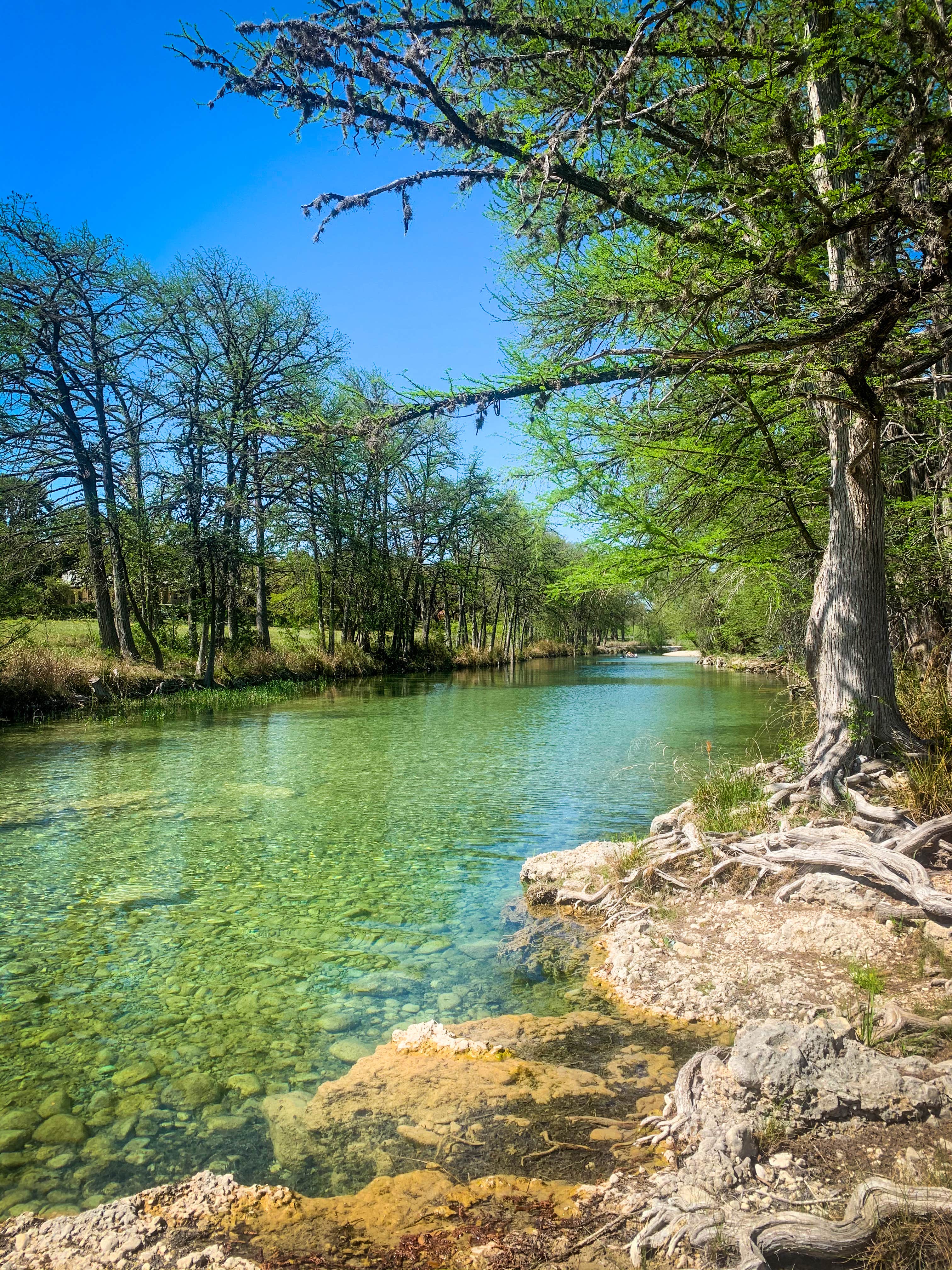 Camper submitted image from Clearwater Ranch Resort on the Frio River - 1