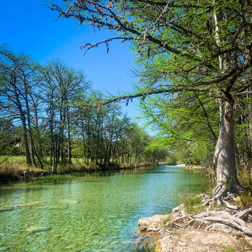 Clearwater Ranch Clearwater Ranch Resort on the Frio River | The Dyrt