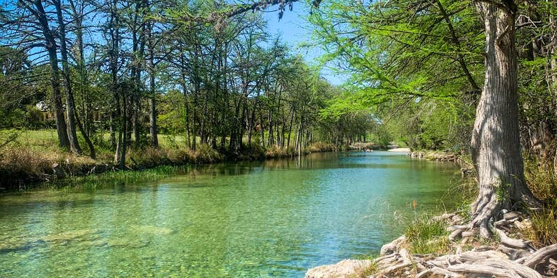 Camper submitted image from Clearwater Ranch Resort on the Frio River