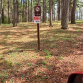 Review photo of Pharoah - Garden of the Gods Rec Area Campground by Jason W., April 12, 2021