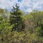 Review photo of Pharoah - Garden of the Gods Rec Area Campground by Jason W., April 12, 2021