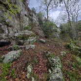 Review photo of Pharoah - Garden of the Gods Rec Area Campground by Jason W., April 12, 2021