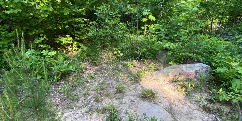 Camper submitted image from Chinnabee Silent Trail Backcountry Site 6