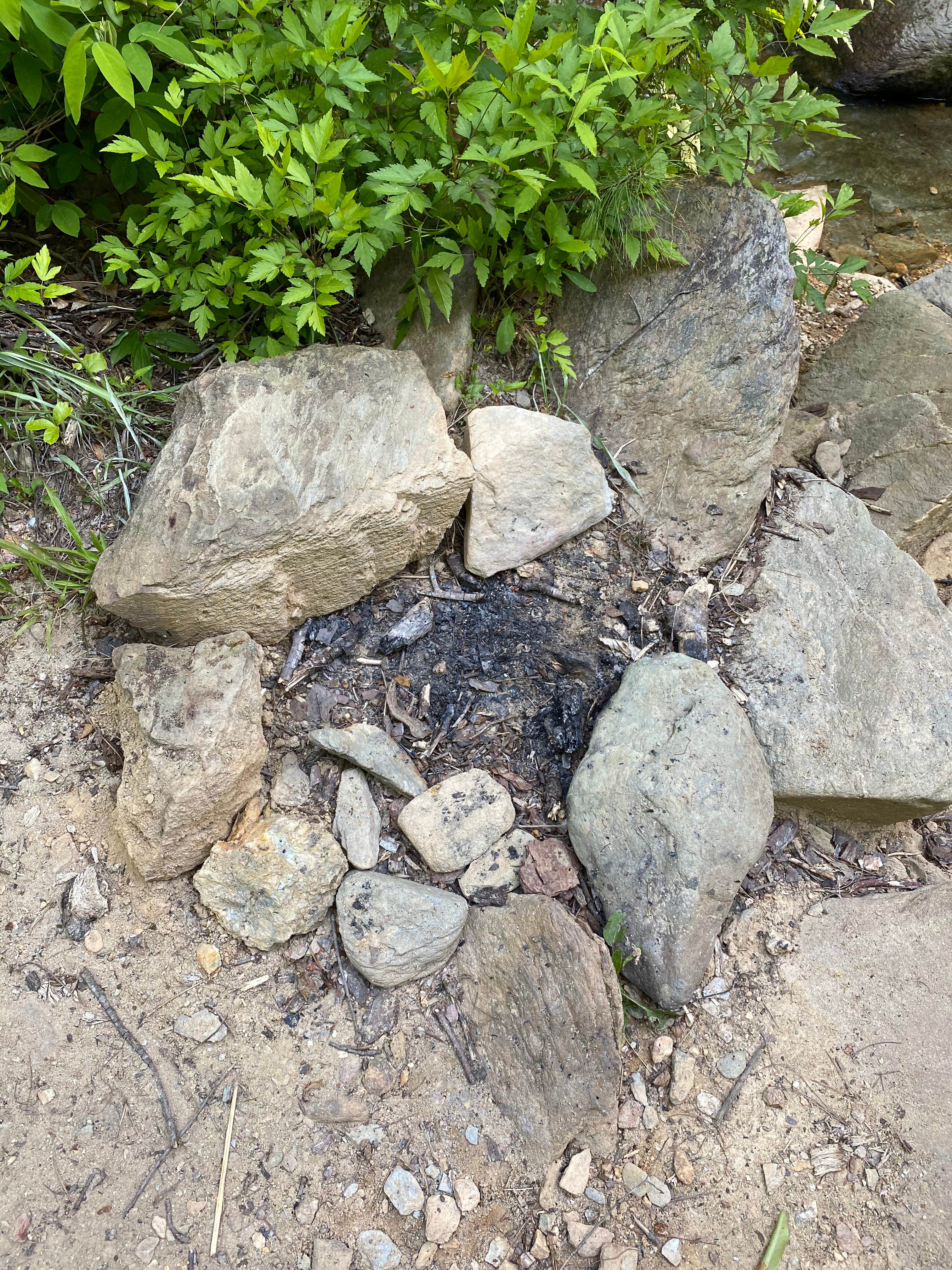 Camper-submitted photo at Chinnabee Silent Trail Backcountry Site 6 near Gurley, AL