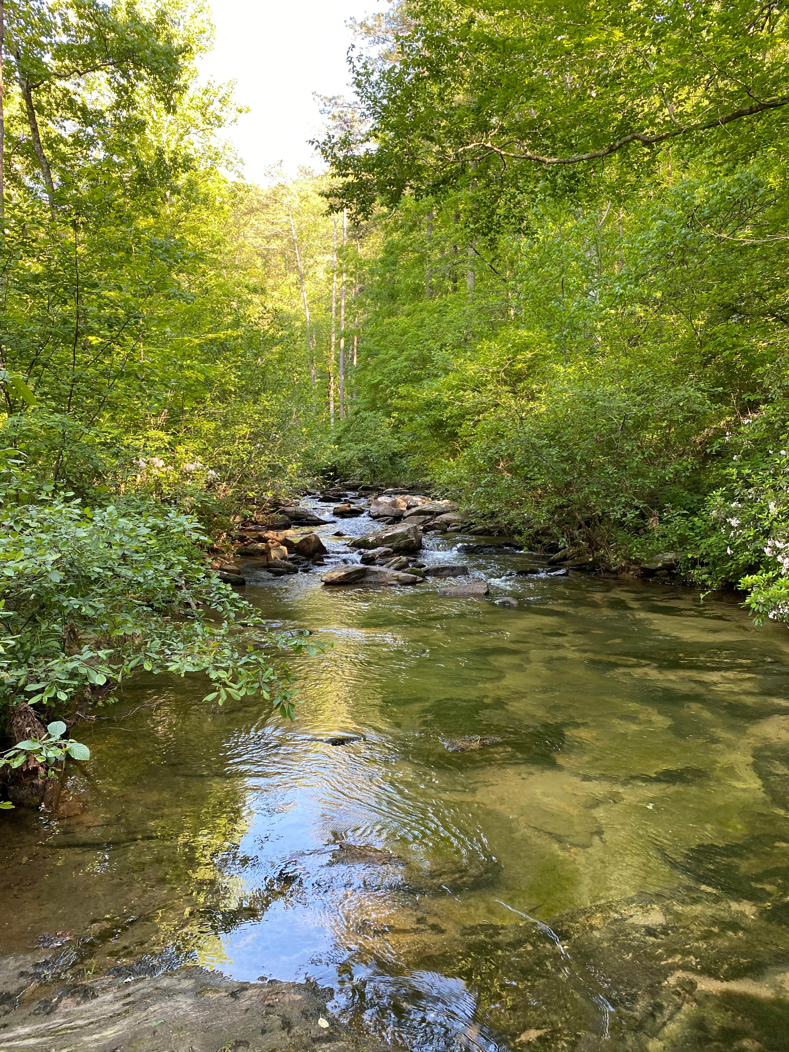 Camper-submitted photo at Chinnabee Silent Trail Backcountry Site 6 near Gurley, AL