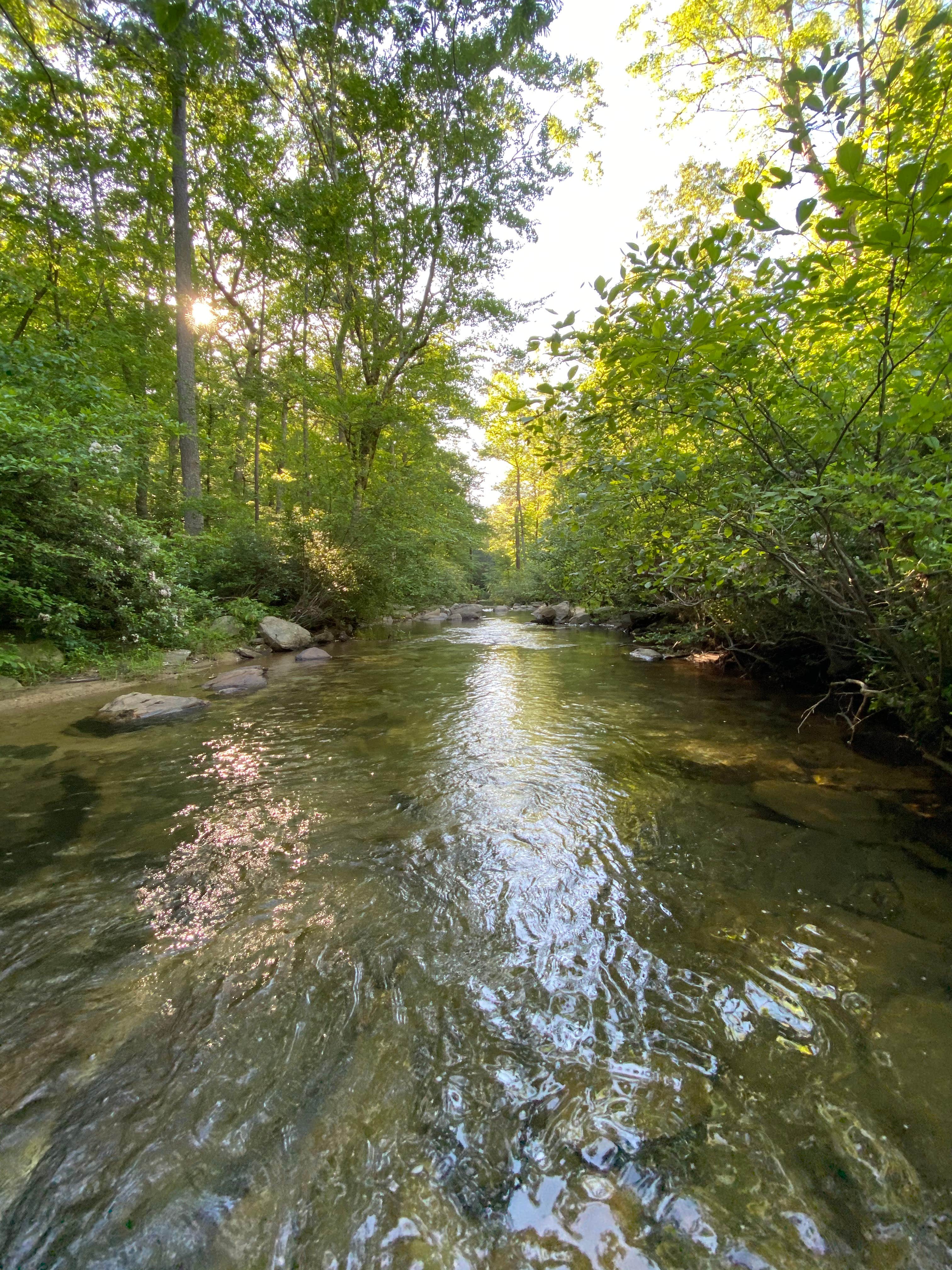 Camper-submitted photo at Chinnabee Silent Trail Backcountry Site 6 near Gurley, AL