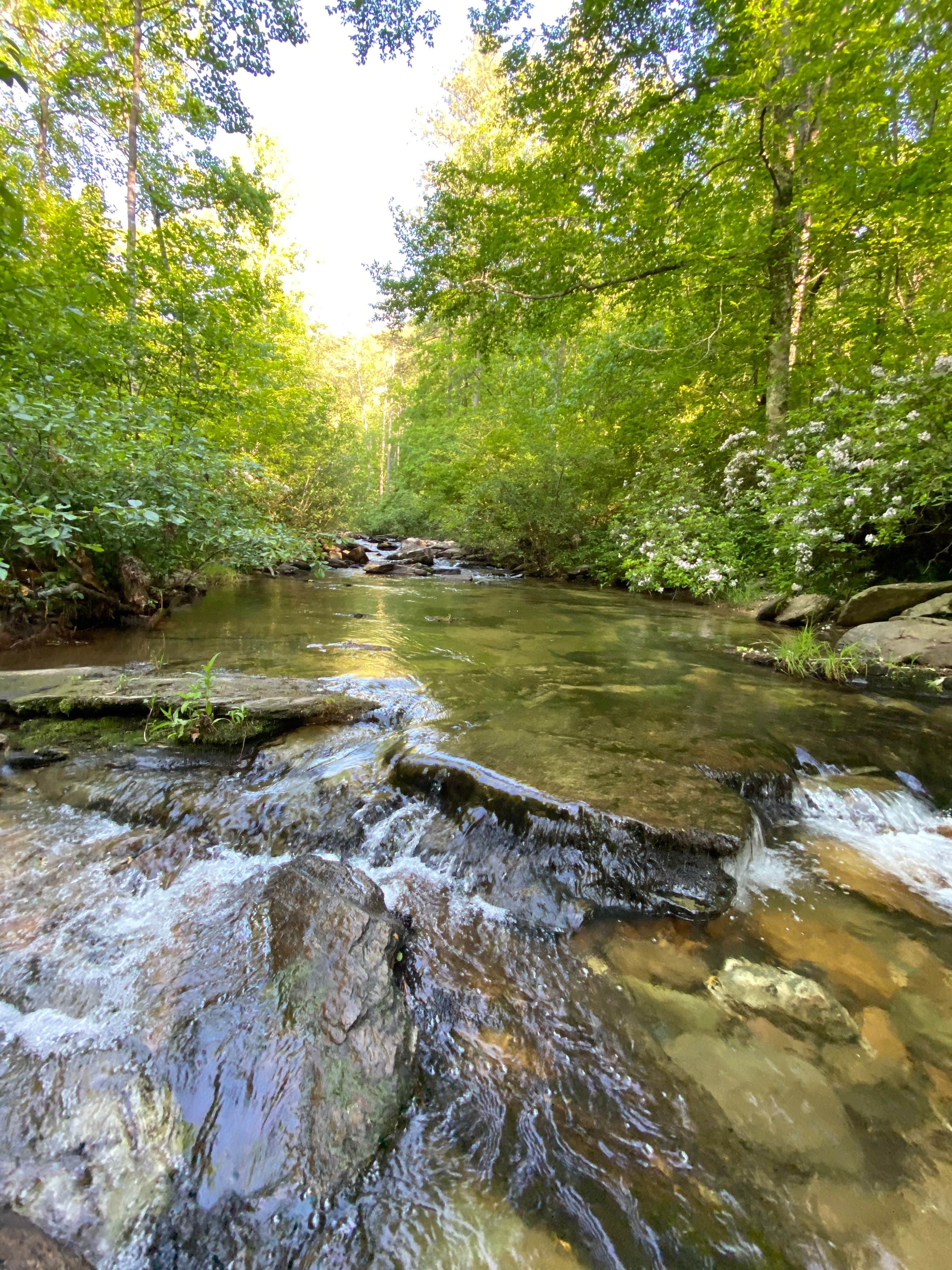 Camper-submitted photo at Chinnabee Silent Trail Backcountry Site 6 near Gurley, AL