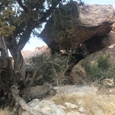 Review photo of Hueco Tanks State Park & Historic Site by Linette G., May 16, 2018