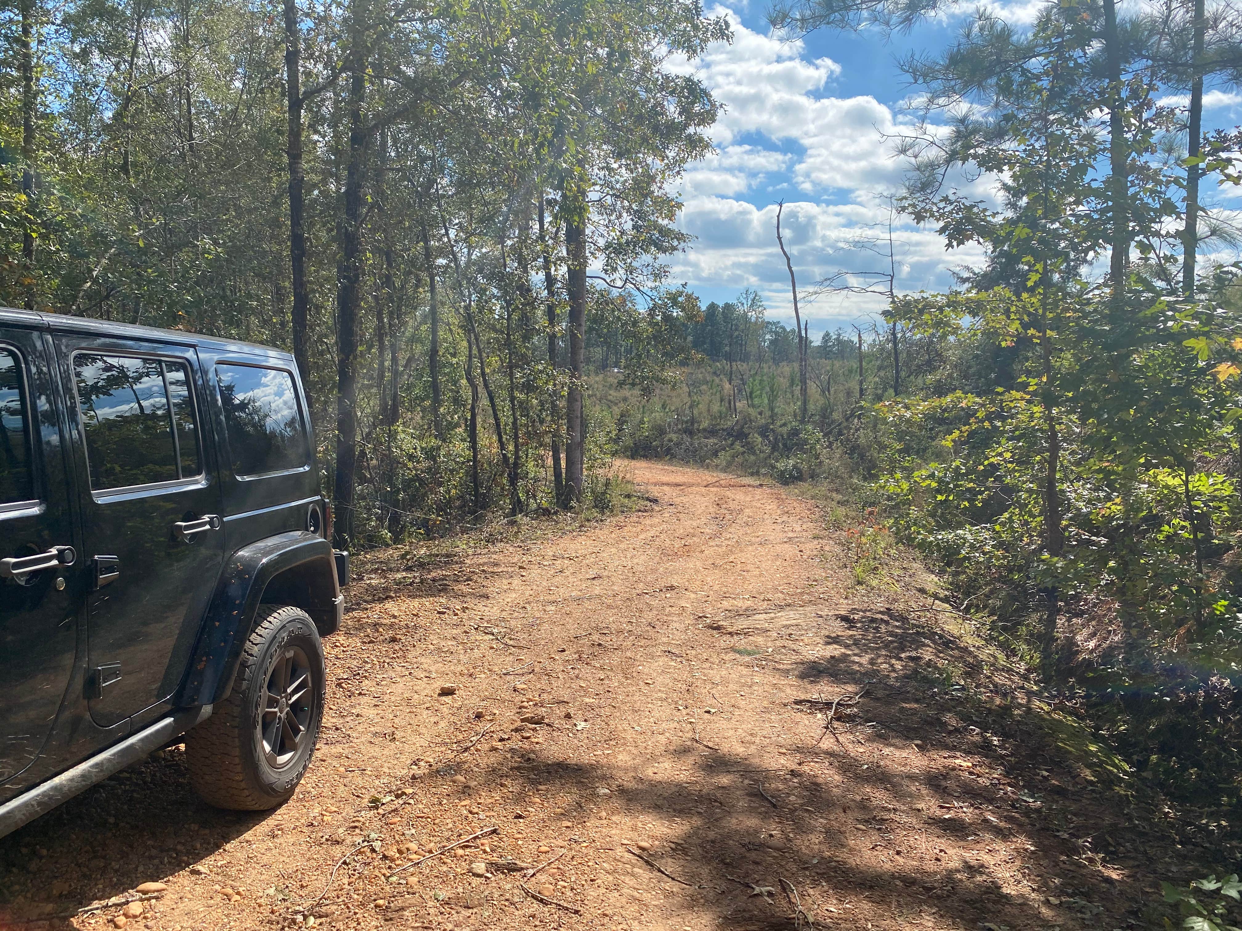 Camper submitted image from Weogufka State Forest Backcountry Site 1 - 1