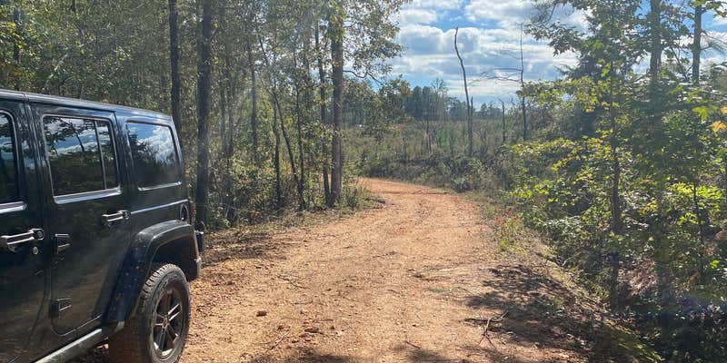 Camper submitted image from Weogufka State Forest Backcountry Site 1