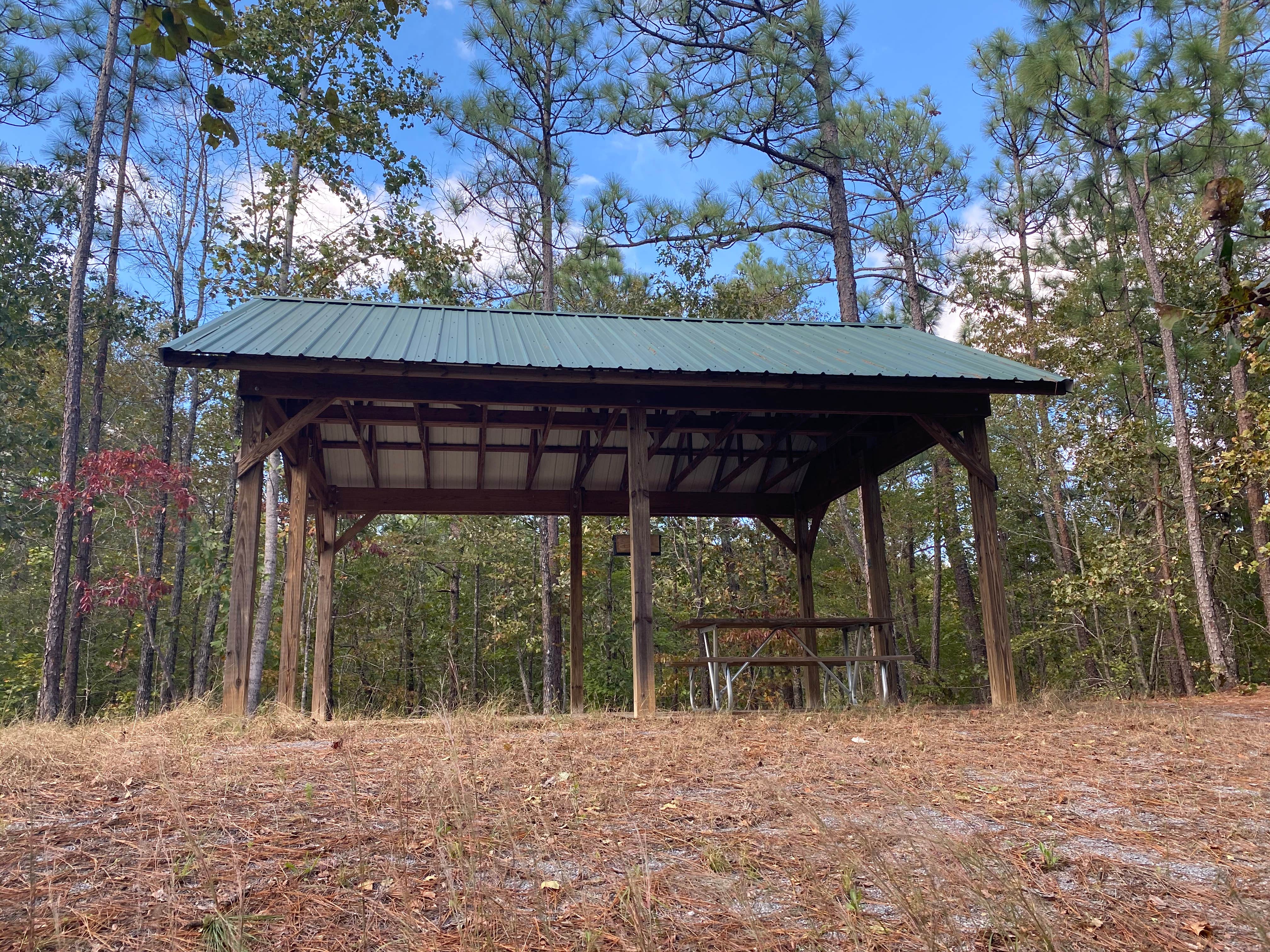 Camper submitted image from Weogufka State Forest Backcountry Site 1 - 4