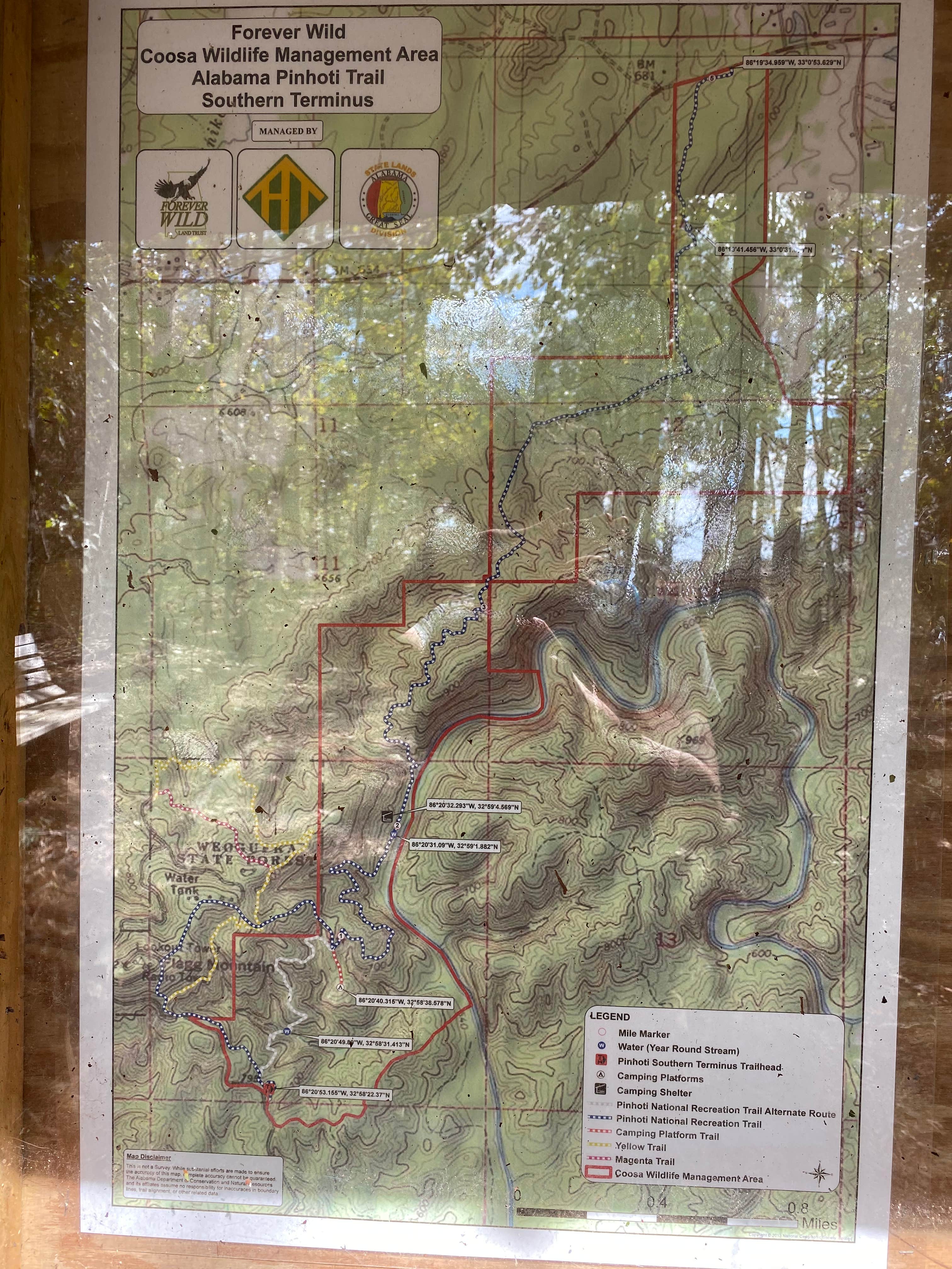 Weogufka State Forest Backcountry Site 1