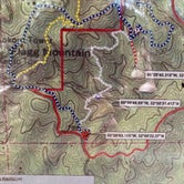 Review photo of Weogufka State Forest Backcountry Site 1 by Asher K., April 12, 2021