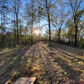 Review photo of Weogufka State Forest Backcountry Site 1 by Asher K., April 12, 2021