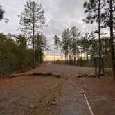 Review photo of Weogufka State Forest Backcountry Site 1 by Asher K., April 12, 2021