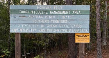Weogufka State Forest Backcountry Site 1