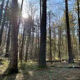 Review photo of Vogel State Park Campground by Jeff A., April 12, 2021