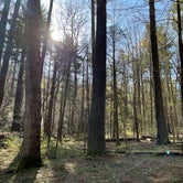Review photo of Vogel State Park Campground by Jeff A., April 12, 2021