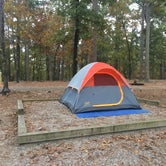 Review photo of Lake Ouachita State Park Campground by Richard , April 12, 2021