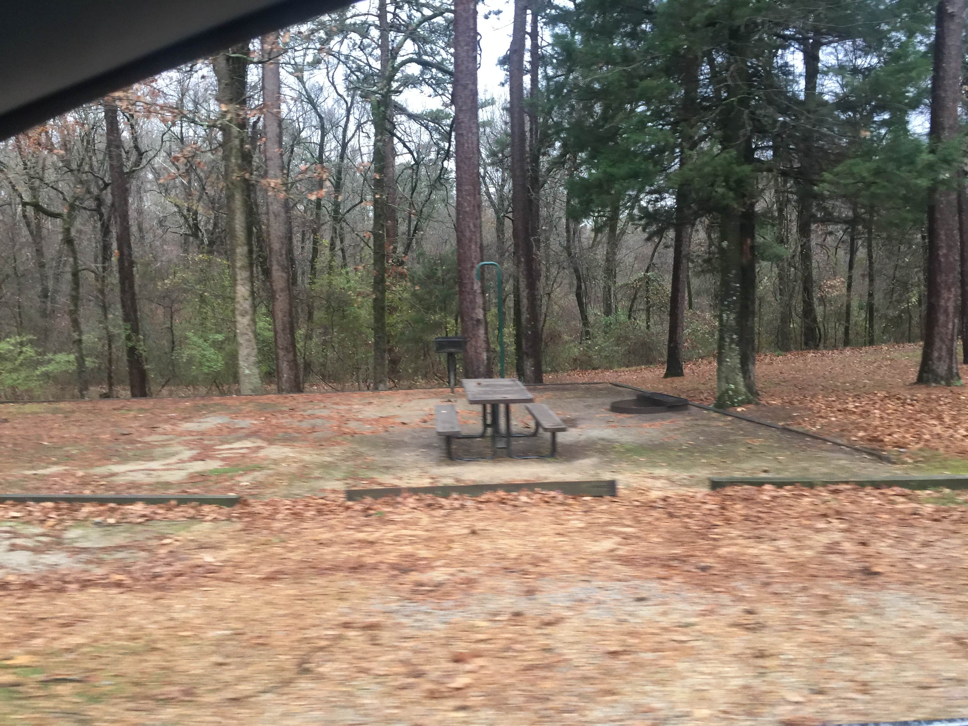 Crowley's Ridge The Dyrt