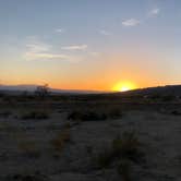 Review photo of Joshua Tree South - BLM Dispersed by Todd G., April 12, 2021