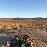 Review photo of Joshua Tree South - BLM Dispersed by Todd G., April 12, 2021