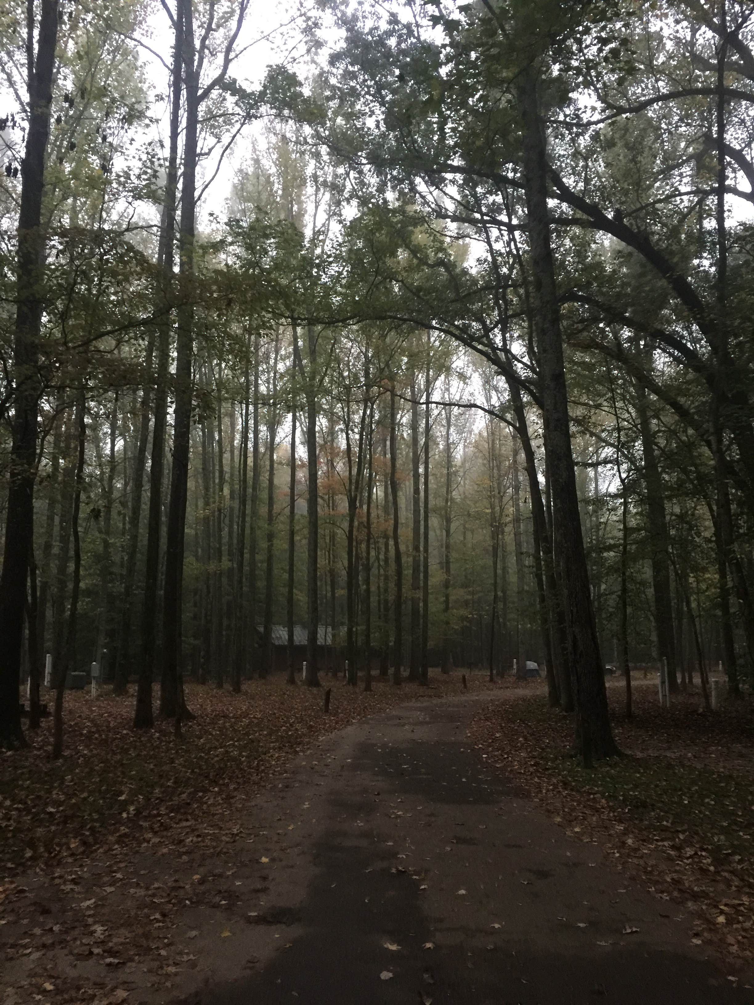 Camping near Willow's RV Park: Meeman-Shelby Forest State Park, Millington, Tennessee