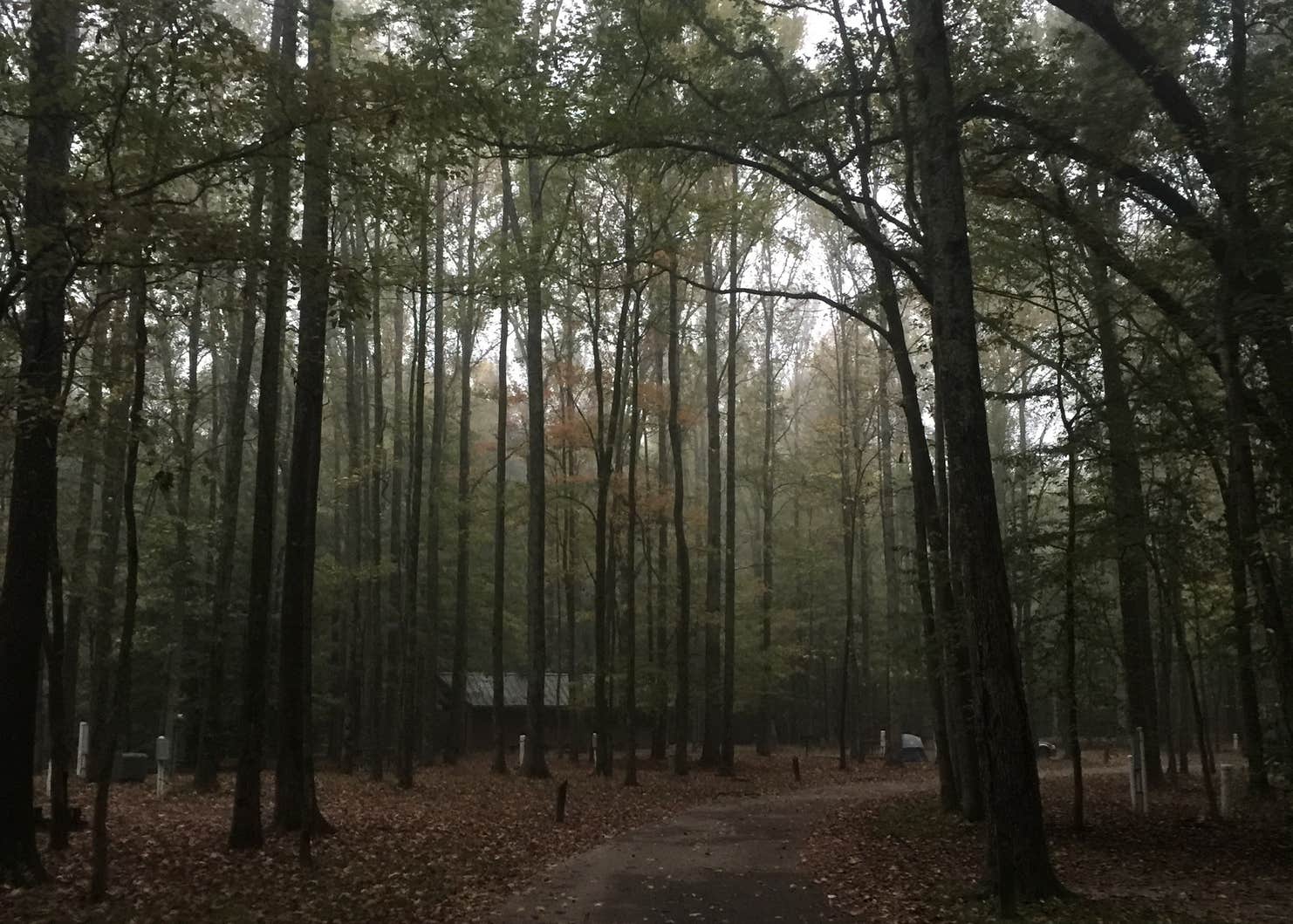 MeemanShelby Forest State Park Camping The Dyrt