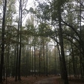 Review photo of Meeman-Shelby Forest State Park by Richard , April 12, 2021
