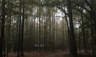 Camping near Midway RV Park: Meeman-Shelby Forest State Park, Millington, Tennessee