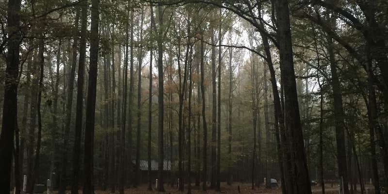 Camper submitted image from Meeman-Shelby Forest State Park
