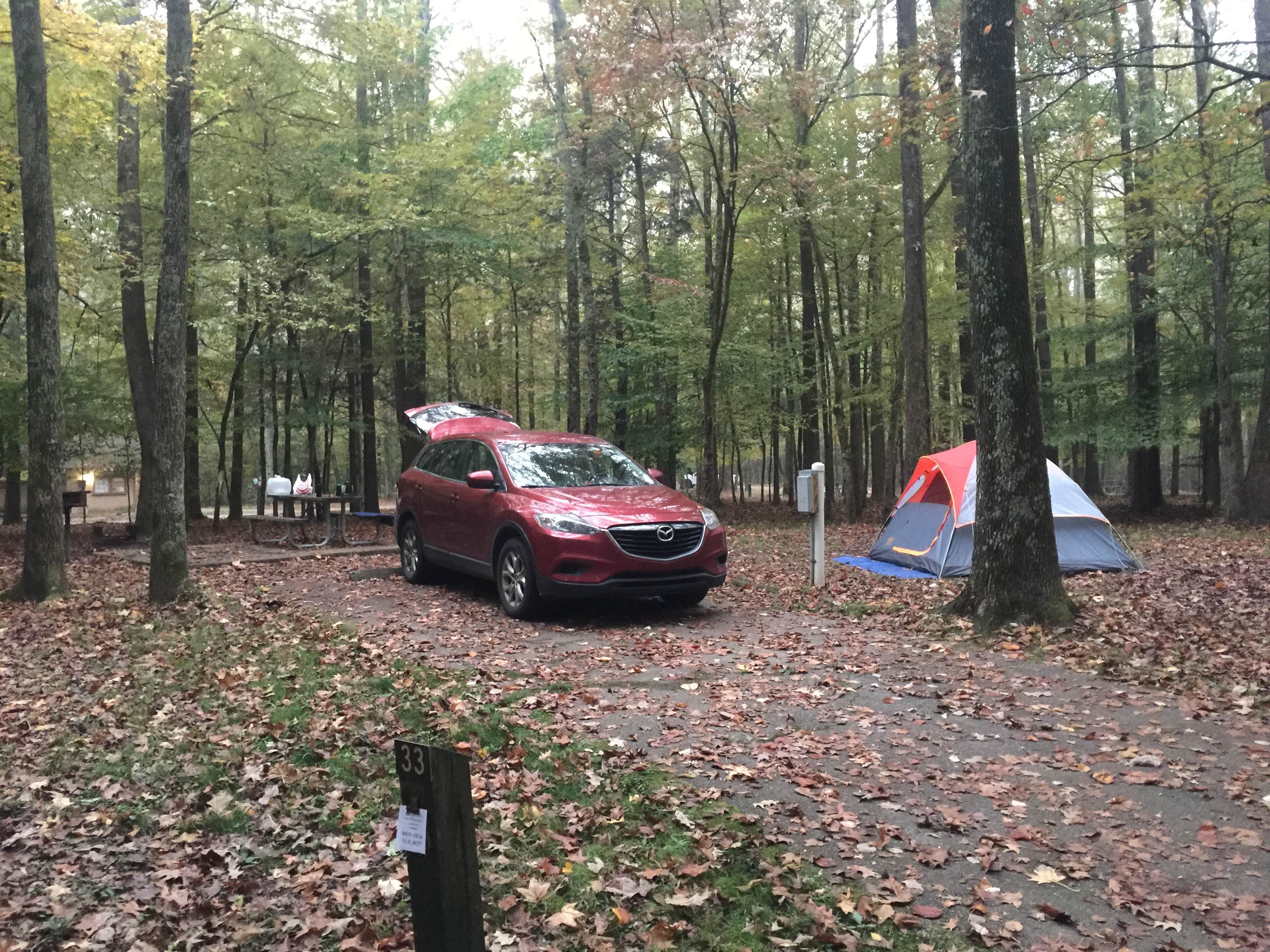Richard's photo at Meeman-Shelby Forest State Park near Manila, AR