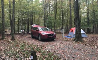 Richard's photo at Meeman-Shelby Forest State Park near Germantown, TN
