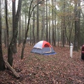Review photo of Meeman-Shelby Forest State Park by Richard , April 12, 2021