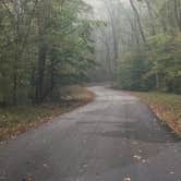 Review photo of Meeman-Shelby Forest State Park by Richard , April 12, 2021