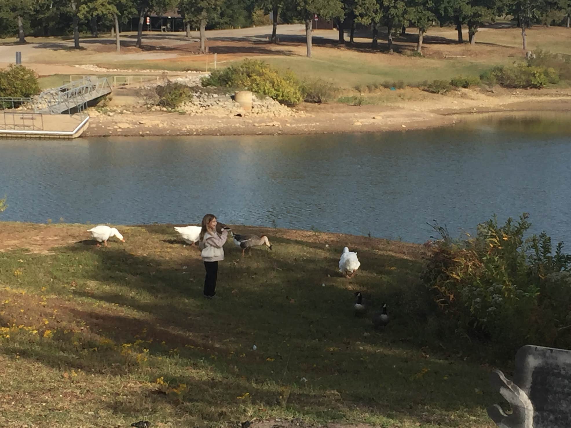 Lake Texoma State Park The Dyrt