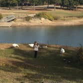 Review photo of Lake Texoma State Park — Lake Texoma State Resort Park by Richard , April 12, 2021