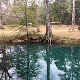 Review photo of Blue Hole Campground — Florida Caverns State Park by Karen  D., May 31, 2018