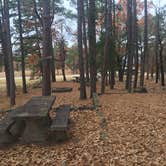 Review photo of Heavener Runestone Park by Richard , April 12, 2021