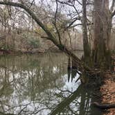 Review photo of Blue Hole Campground — Florida Caverns State Park by Karen  D., May 31, 2018