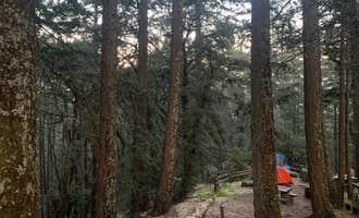 Camping near Rocky Point at Steep Ravine Environmental Campground — Mount Tamalpais State Park: Pantoll Campground — Mount Tamalpais State Park, Stinson Beach, California