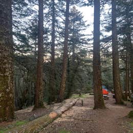 Pantoll Campground — Mount Tamalpais State Park