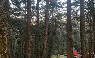 Camper-submitted photo from Pantoll Campground — Mount Tamalpais State Park