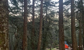 Pantoll Campground Mt Tamalpais State Park 