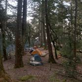 Review photo of Pantoll Campground by Venice  G., April 12, 2021