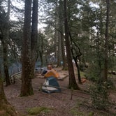 Review photo of Pantoll Campground — Mount Tamalpais State Park by Venice  G., April 12, 2021