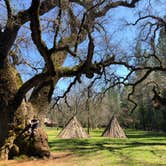 Review photo of Indian Grinding Rock State Historical Park Campground by Steve E., April 12, 2021