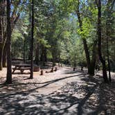 Review photo of Indian Grinding Rock State Historical Park Campground by Steve E., April 12, 2021