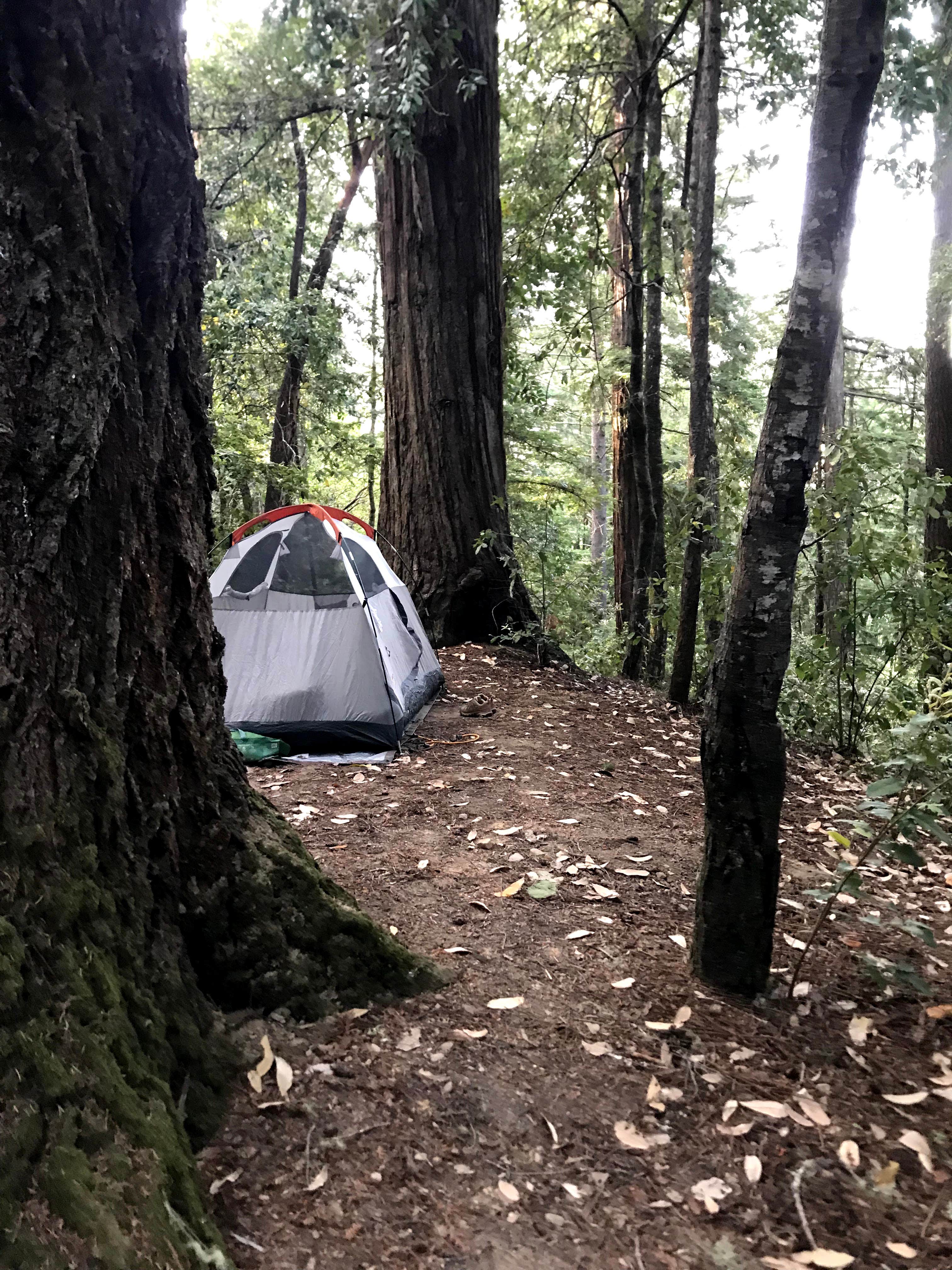 Sophia B.'s photo at Hendy Woods State Park Campground near Mendocino Lake